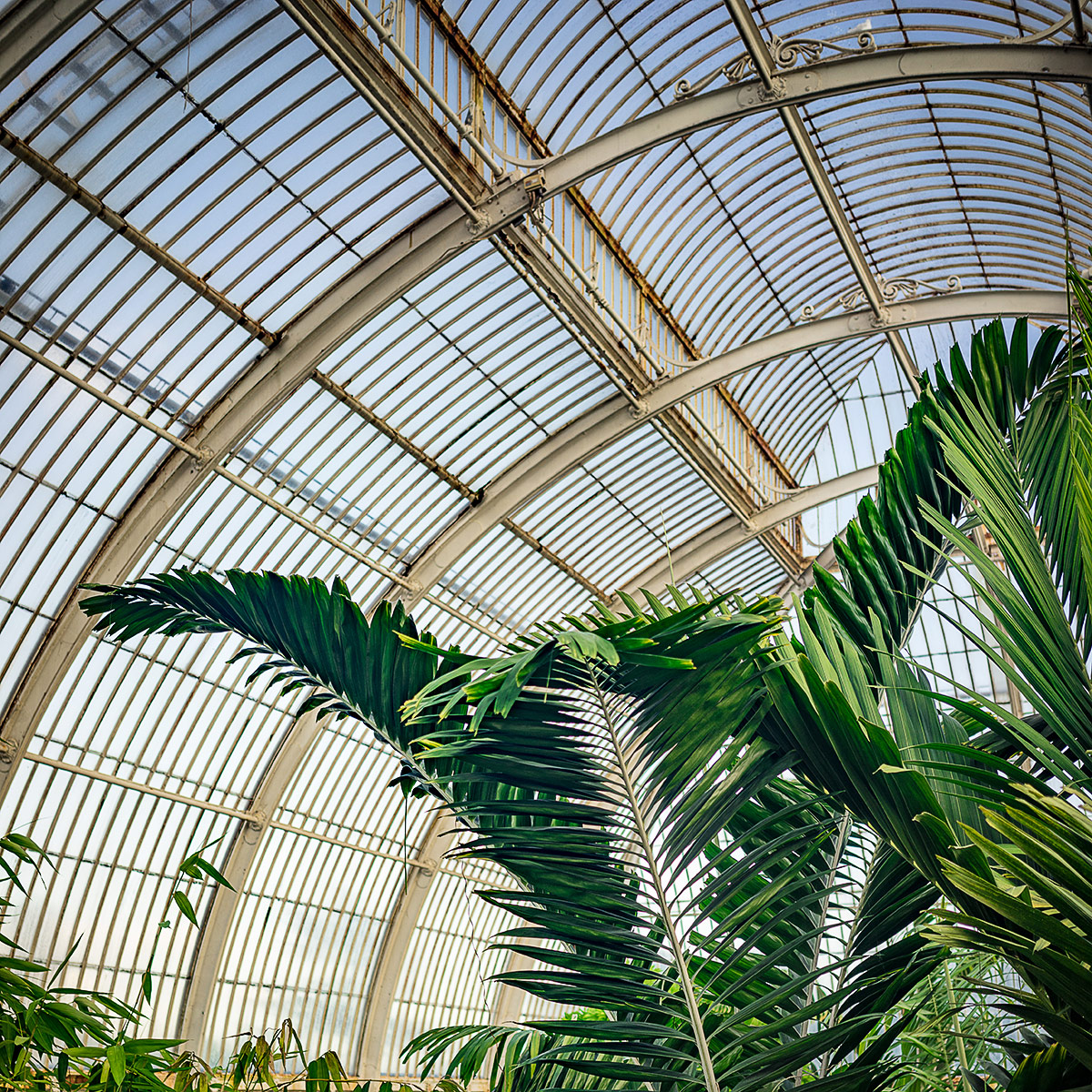 Kew Gardens