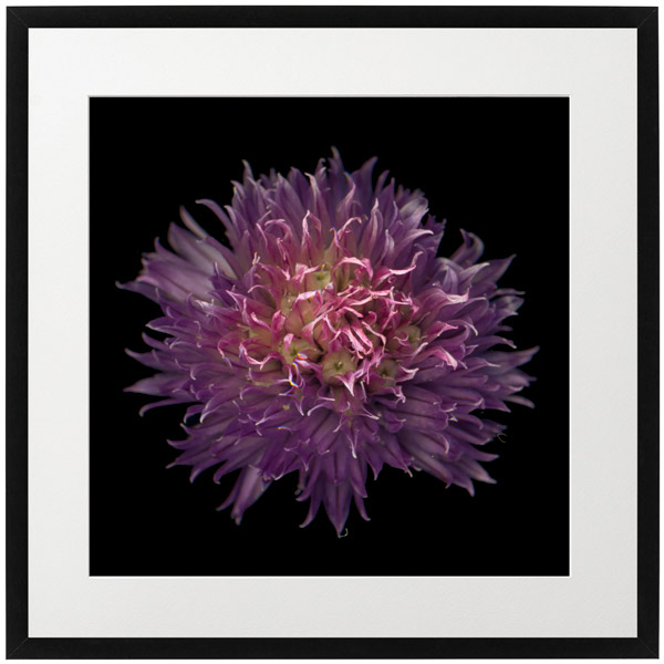 Fine Art 02