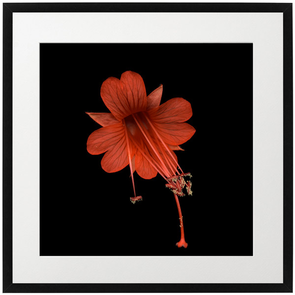 Fine Art 03